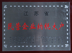 江蘇省民營企業納稅大(dà)戶