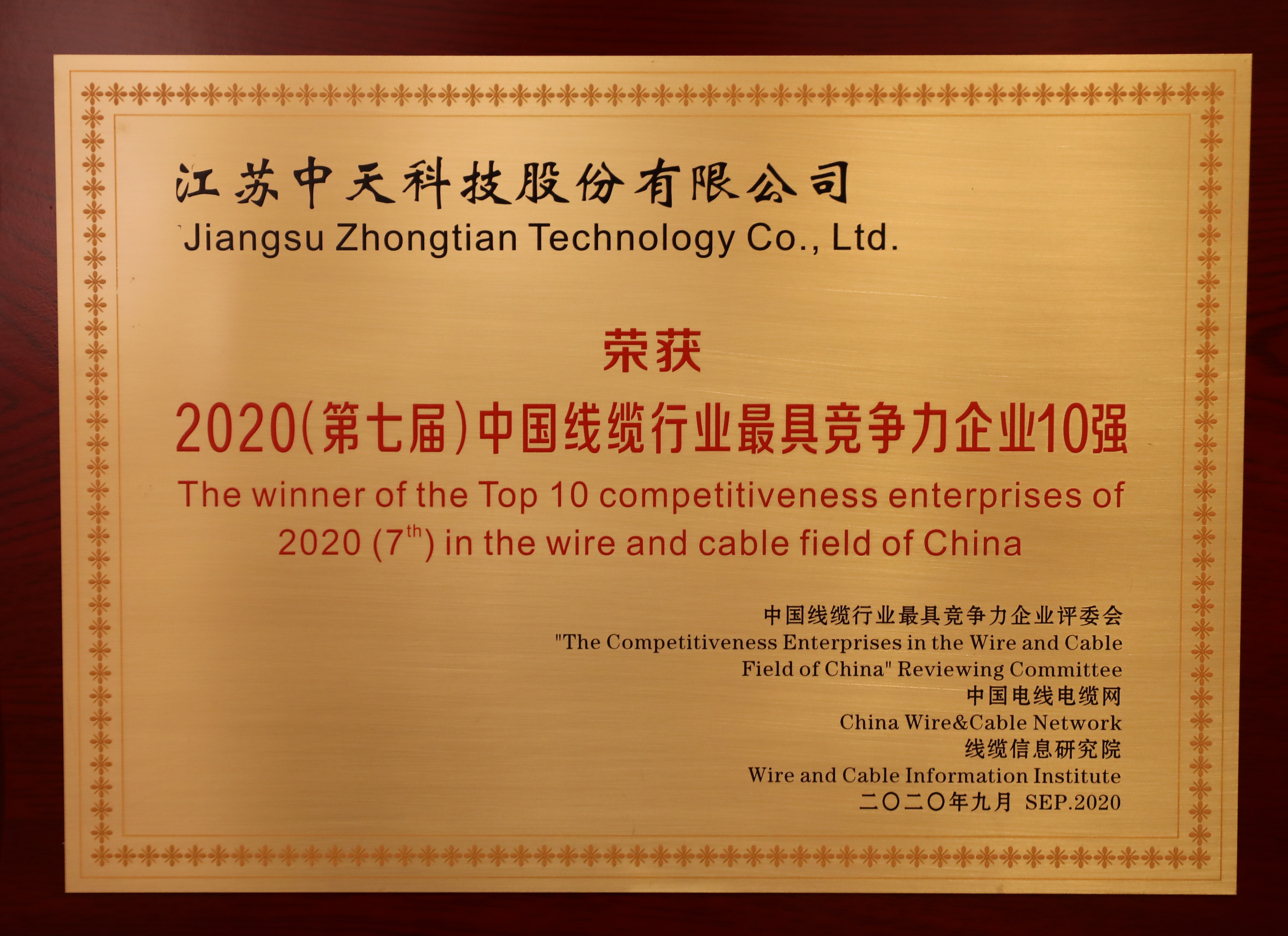 2020中國線纜行業最具競争力企業10強